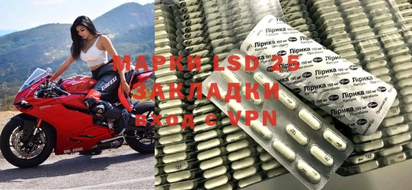 ГАЛЛЮЦИНОГЕННЫЕ ГРИБЫ Балахна