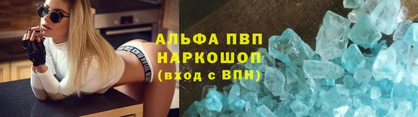 индика Беломорск