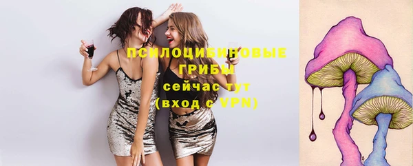 индика Беломорск