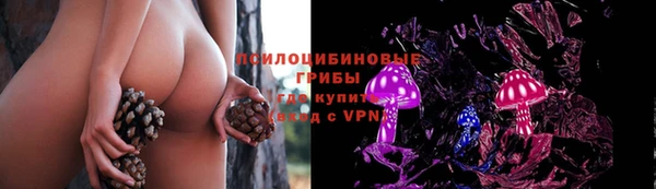 винт Белокуриха
