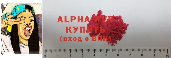 индика Беломорск