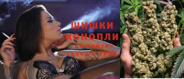 индика Беломорск