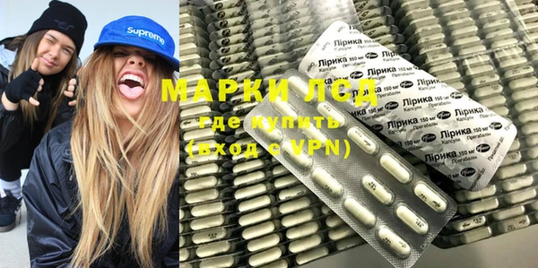 индика Беломорск